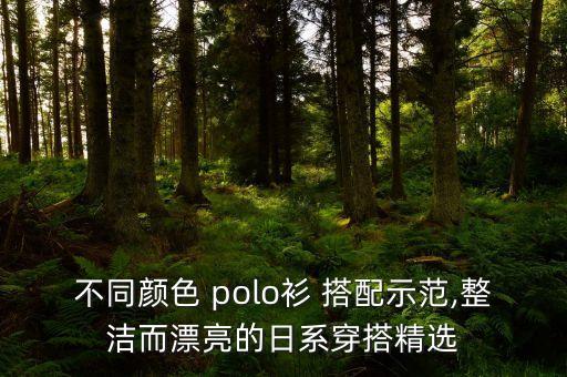 不同颜色 polo衫 搭配示范,整洁而漂亮的日系穿搭精选