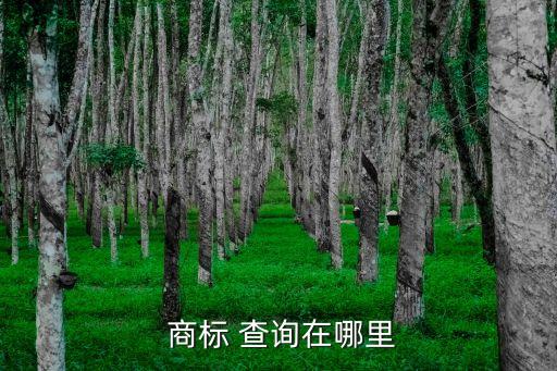 注册商标查询,奶茶店名字注册商标查询
