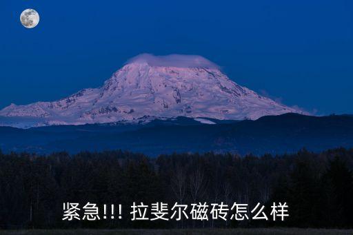 紧急!!! 拉斐尔磁砖怎么样