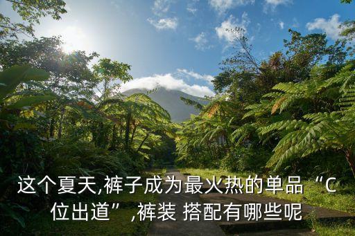 这个夏天,裤子成为最火热的单品“C位出道”,裤装 搭配有哪些呢
