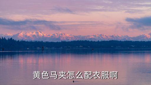 黄色马夹怎么配衣服啊
