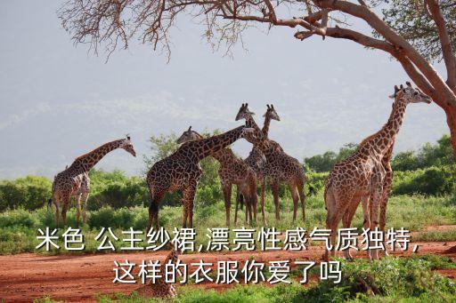 米色 公主纱裙,漂亮性感气质独特,这样的衣服你爱了吗