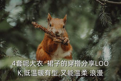 4套呢大衣  裙子的穿搭分享LOOK,既温暖有型,又能温柔 浪漫
