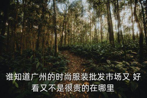 谁知道广州的时尚服装批发市场又 好看又不是很贵的在哪里