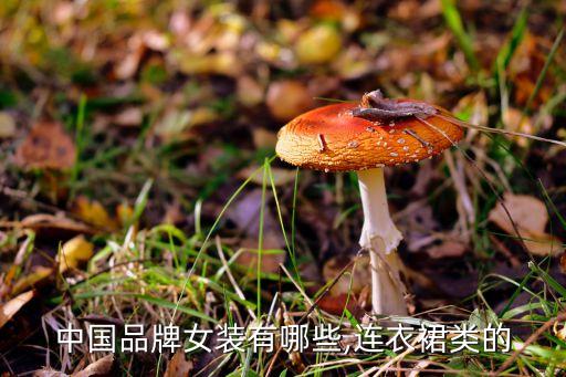 中国品牌女装有哪些,连衣裙类的