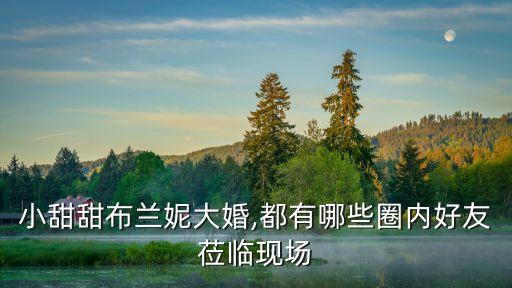 麦当娜白色裙子穿搭图片,白色裙子的穿搭推荐