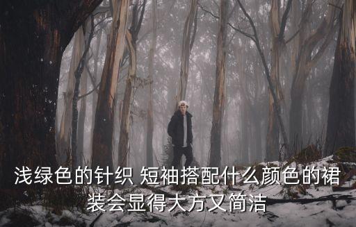 浅绿色的针织 短袖搭配什么颜色的裙装会显得大方又简洁