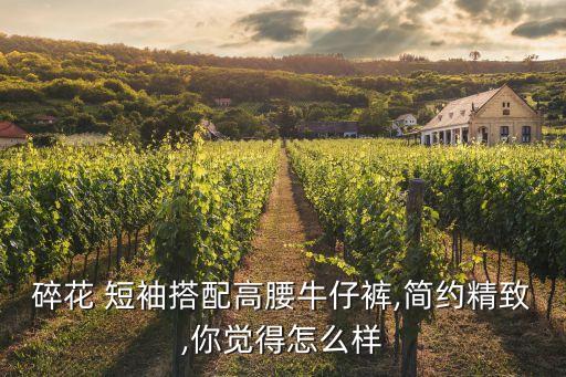 碎花 短袖搭配高腰牛仔裤,简约精致,你觉得怎么样