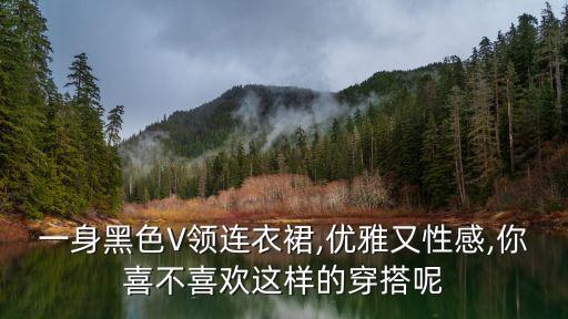 一身黑色V领连衣裙,优雅又性感,你喜不喜欢这样的穿搭呢