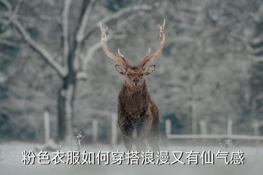  粉色衣服如何穿搭浪漫又有仙气感