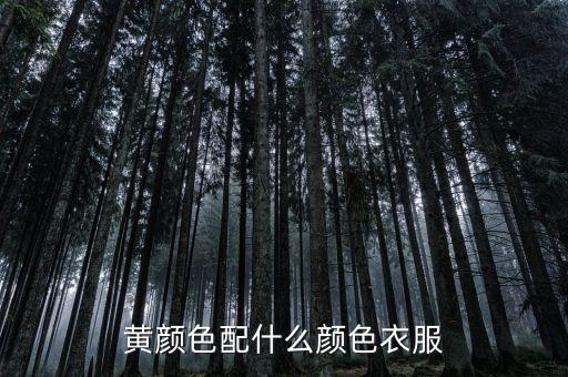 黄颜色配什么颜色衣服