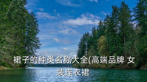  裙子的种类名称大全(高端品牌 女装连衣裙