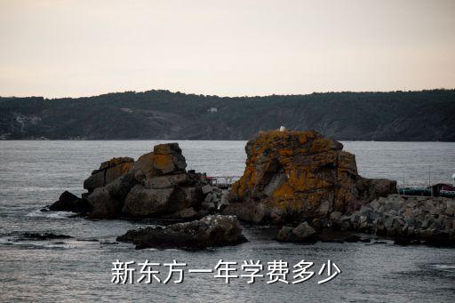 成人英语网课多少钱,成人一对一英语网课哪家好