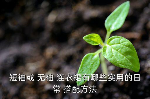 短袖或 无袖 连衣裙有哪些实用的日常 搭配方法