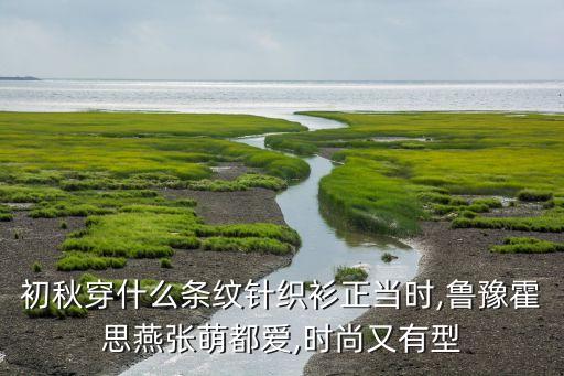 初秋穿什么条纹针织衫正当时,鲁豫霍思燕张萌都爱,时尚又有型