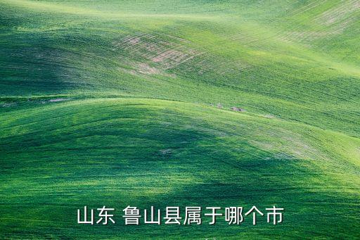 鲁山哪个店面裙子好看