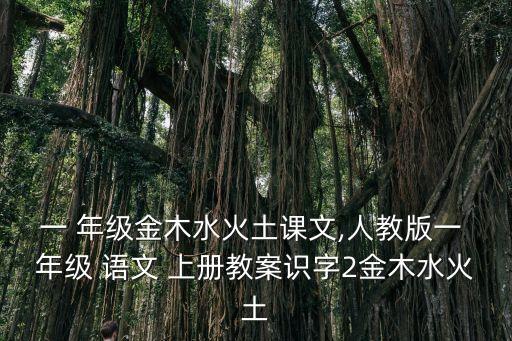 一 年级金木水火土课文,人教版一 年级 语文 上册教案识字2金木水火土