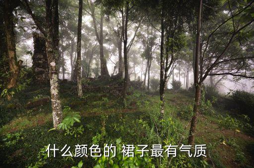 什么颜色的 裙子最有气质
