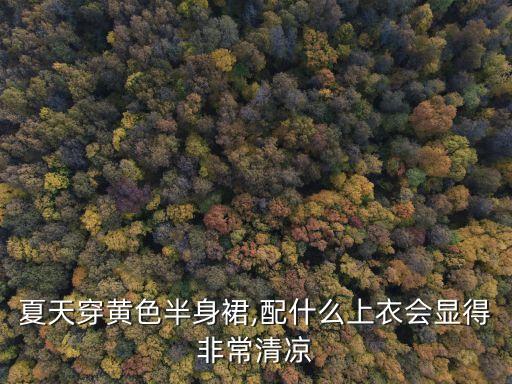 夏天穿黄色半身裙,配什么上衣会显得非常清凉