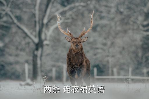 两条 连衣裙英语