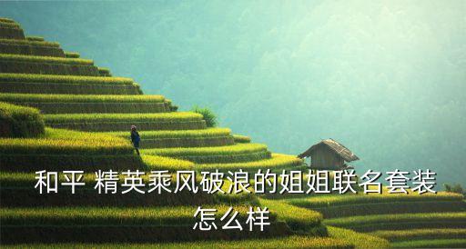  和平 精英乘风破浪的姐姐联名套装怎么样
