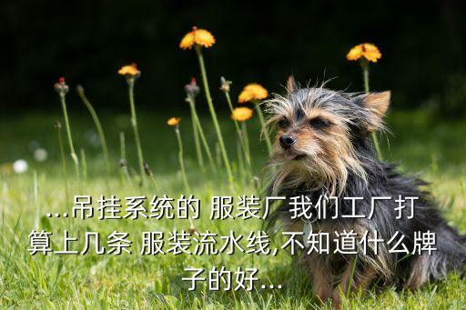 ...吊挂系统的 服装厂我们工厂打算上几条 服装流水线,不知道什么牌子的好...