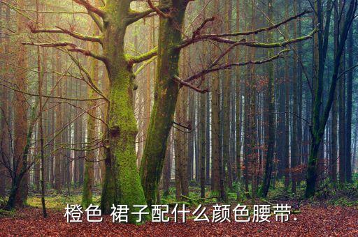 橙色斗篷裙子怎么搭配好看
