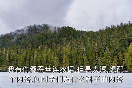 我有件桑蚕丝连衣裙,但是太透,想配个内搭,问问亲们选什么料子的内搭