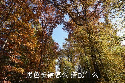 黑色长裙怎么 搭配什么