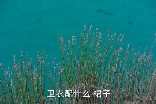  卫衣配什么 裙子