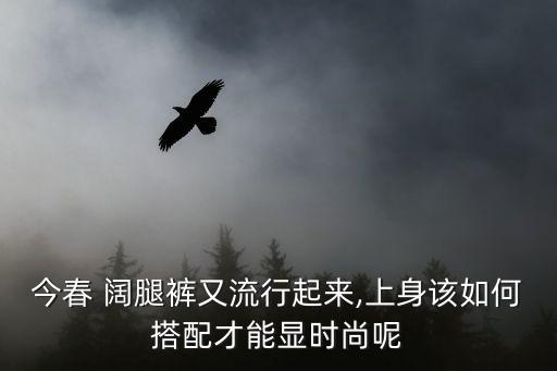 阔腿裤裙子穿搭