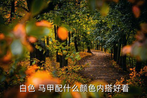 白色背心马甲搭配黑裙子,黑裙子搭配什么颜色的马甲