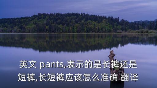 pants的中文翻译,socks的中文翻译