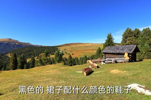 黑裙子穿红鞋好看嘛,夏天穿黑裙子好看吗