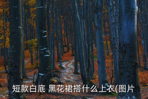 短款白底 黑花裙搭什么上衣(图片