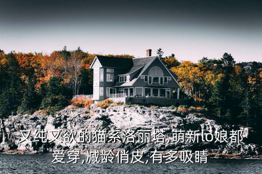 又纯又欲的猫系洛丽塔,萌新lo娘都爱穿,减龄俏皮,有多吸睛