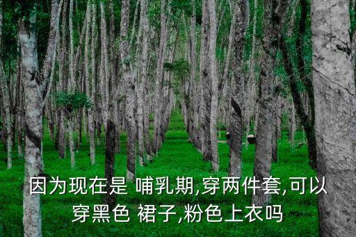 新款哺乳裙子怎么穿好看,哺乳裙子怎么用