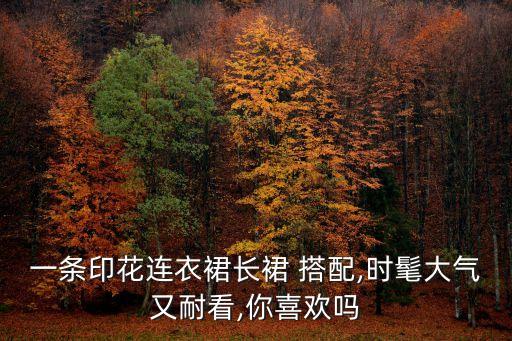 一条印花连衣裙长裙 搭配,时髦大气又耐看,你喜欢吗