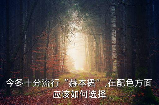 今冬十分流行“赫本裙”,在配色方面应该如何选择
