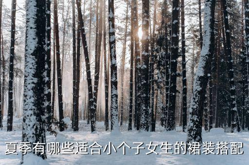 夏季有哪些适合小个子女生的裙装搭配