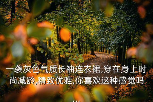 一袭灰色气质长袖连衣裙,穿在身上时尚减龄,精致优雅,你喜欢这种感觉吗...