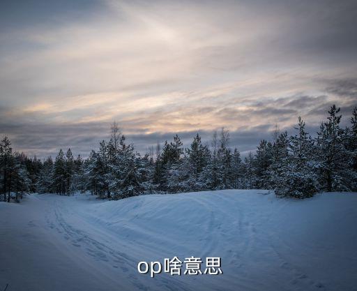  op啥意思