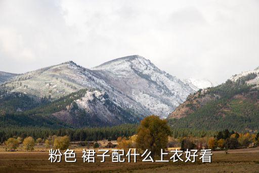  粉色 裙子配什么上衣好看