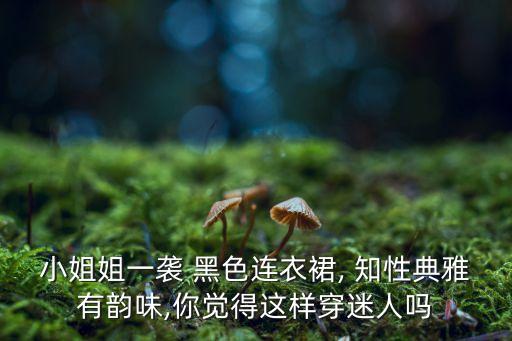 小姐姐一袭 黑色连衣裙, 知性典雅有韵味,你觉得这样穿迷人吗