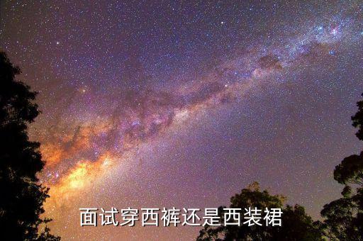 面试穿西裤还是西装裙