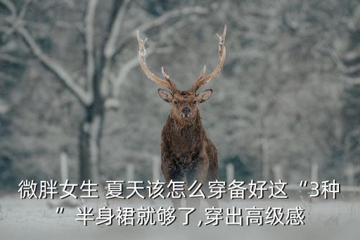 微胖女生 夏天该怎么穿备好这“3种”半身裙就够了,穿出高级感