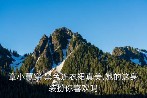 章小蕙穿 黑色连衣裙真美,她的这身装扮你喜欢吗