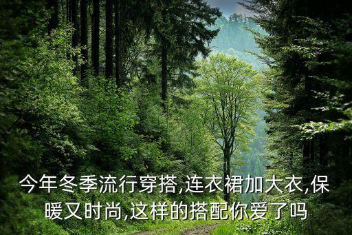 今年冬季流行穿搭,连衣裙加大衣,保暖又时尚,这样的搭配你爱了吗