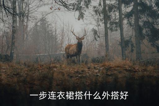 一步连衣裙搭什么外搭好