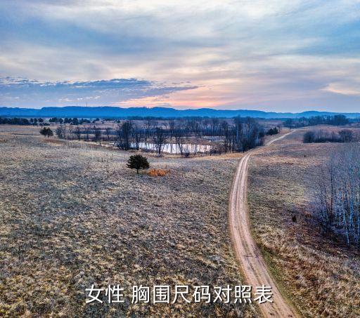 胸围84穿多大裙子才好看,胸围90穿多大码裙子